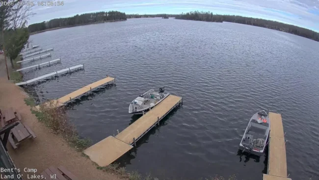 Bent’s Camp в Land O’ Lakes — веб-камера онлайн