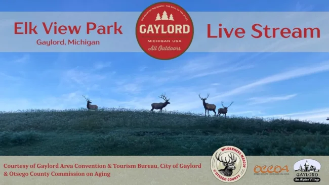 Elk View Park в Гейлорде, Мичиган — веб-камера онлайн