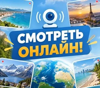 Веб-камера на гнезде аистов
